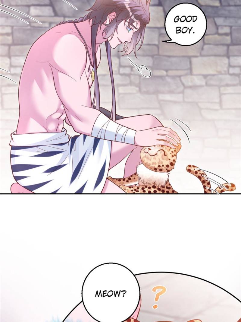 ch 678 11