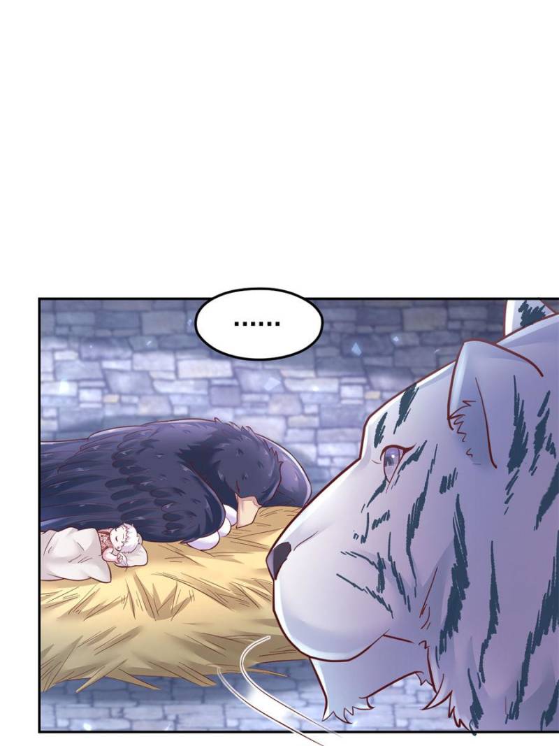 43