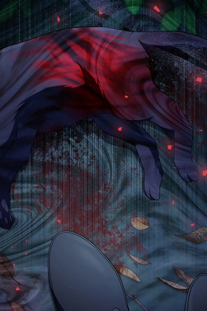 ch 80 38