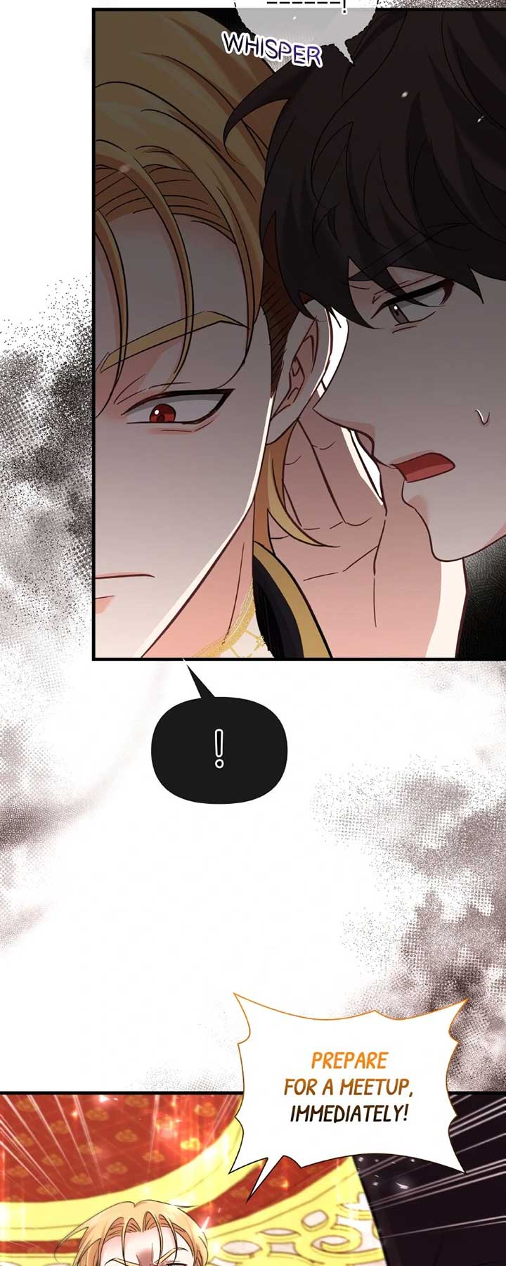 ch 42 17
