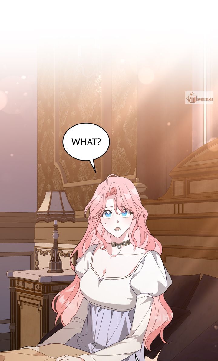 ch 41 1