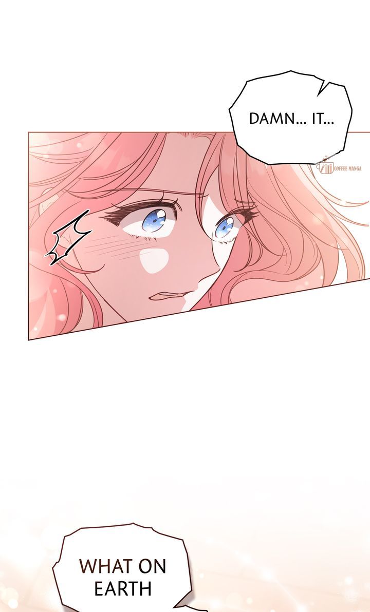 ch 41 61