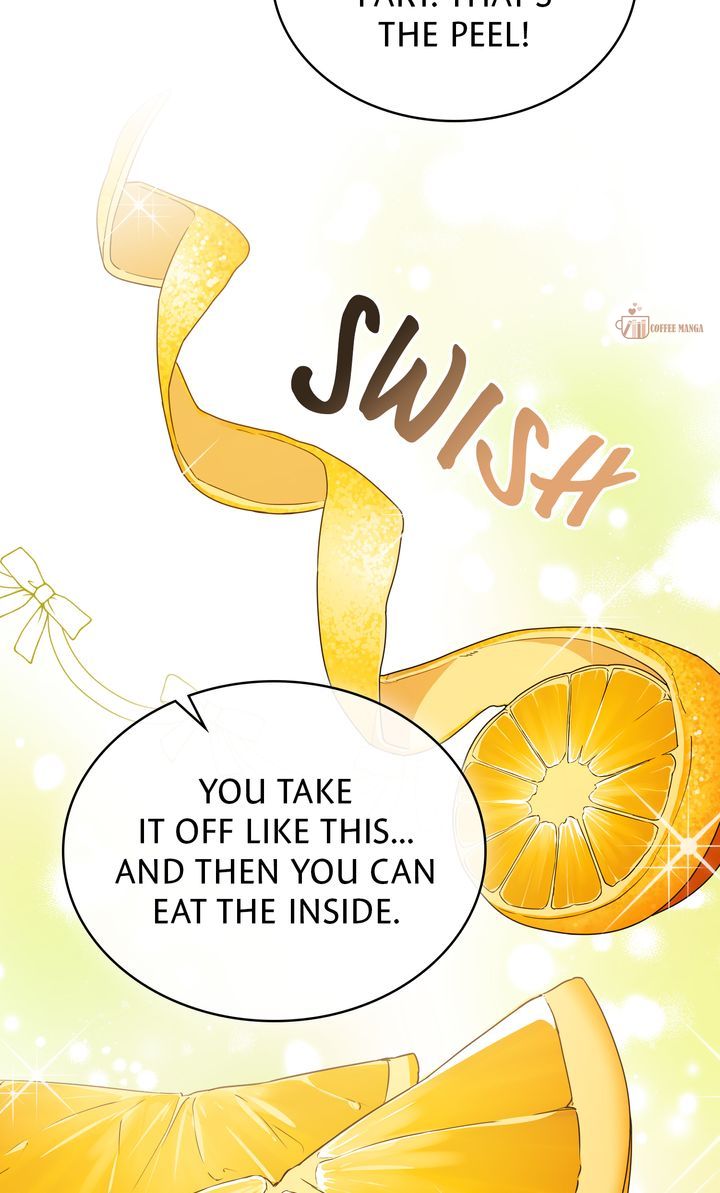 ch 44 46