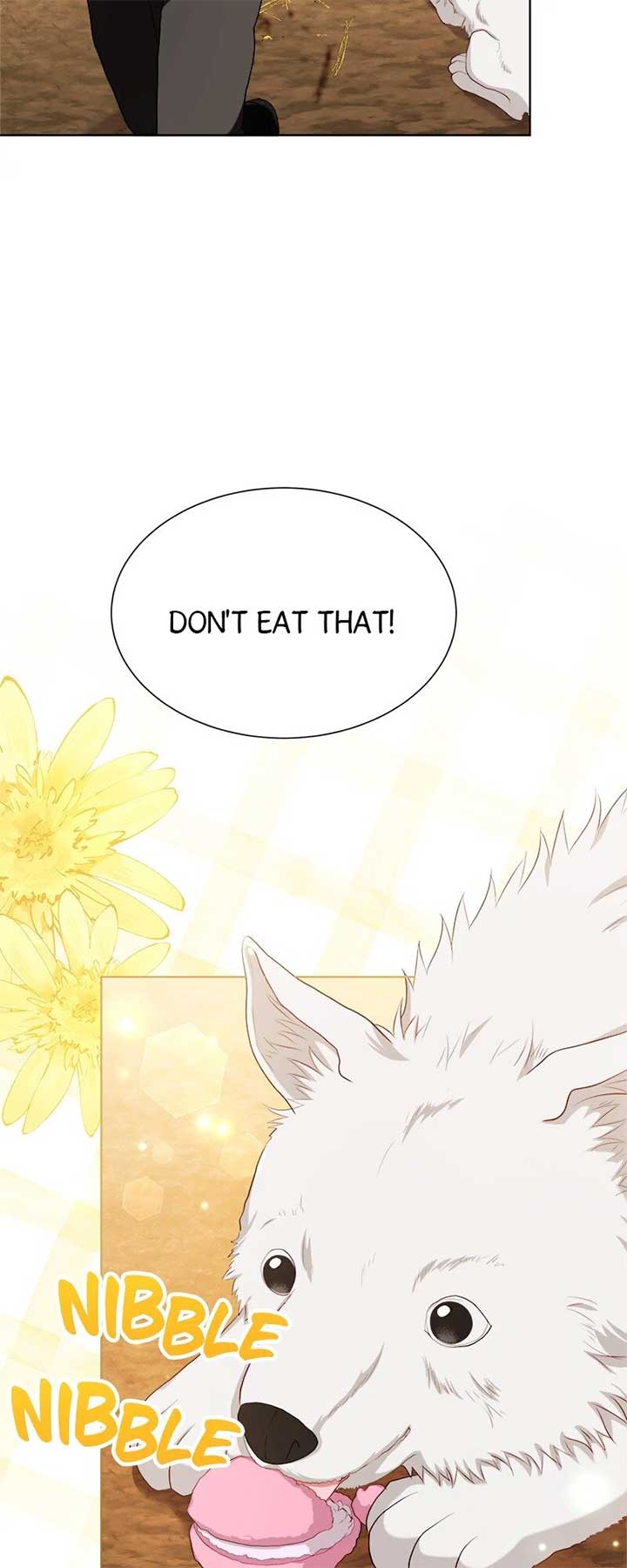 ch 53 9