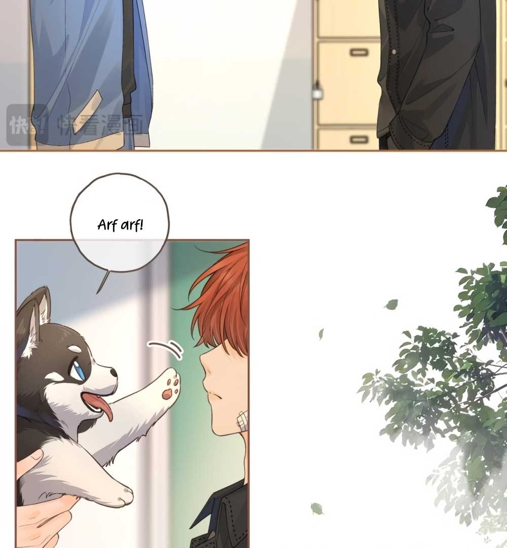 I Just Want To Mooch Off Your Luck Chapter 49 199 43