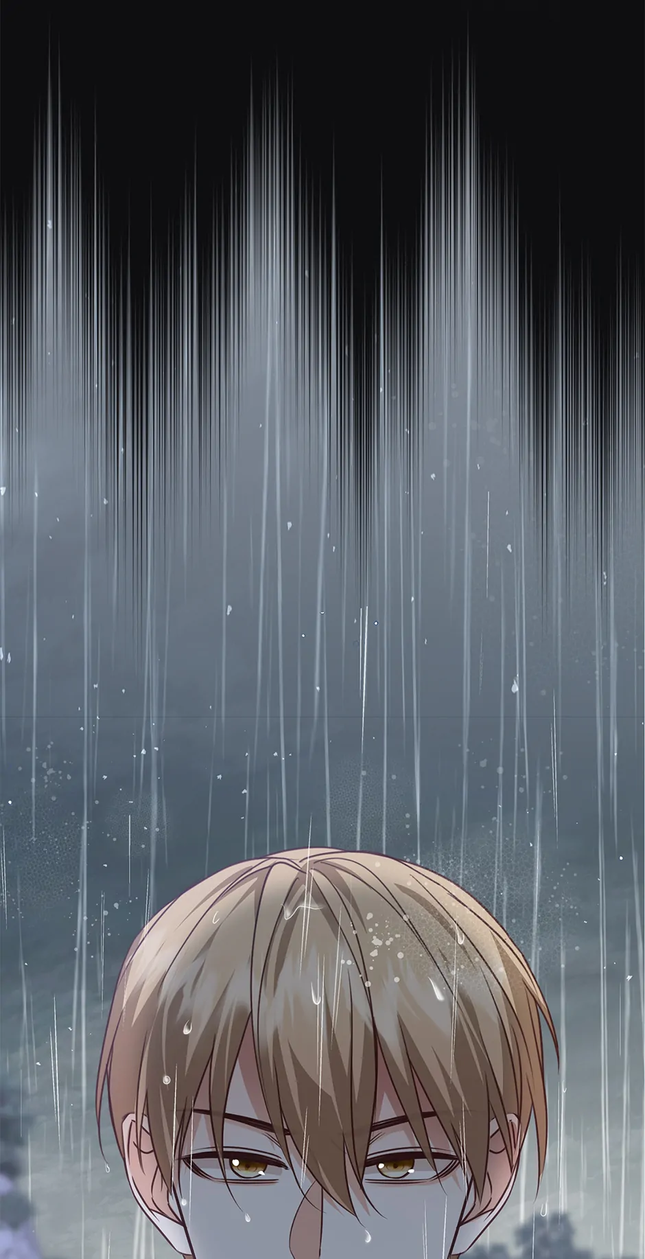ch 81 4