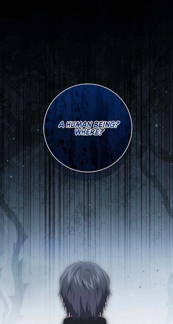 ch 66 62