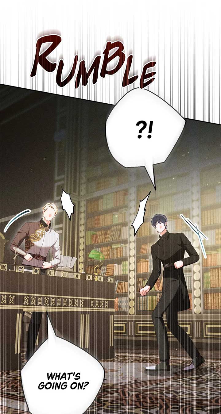 ch 66 81