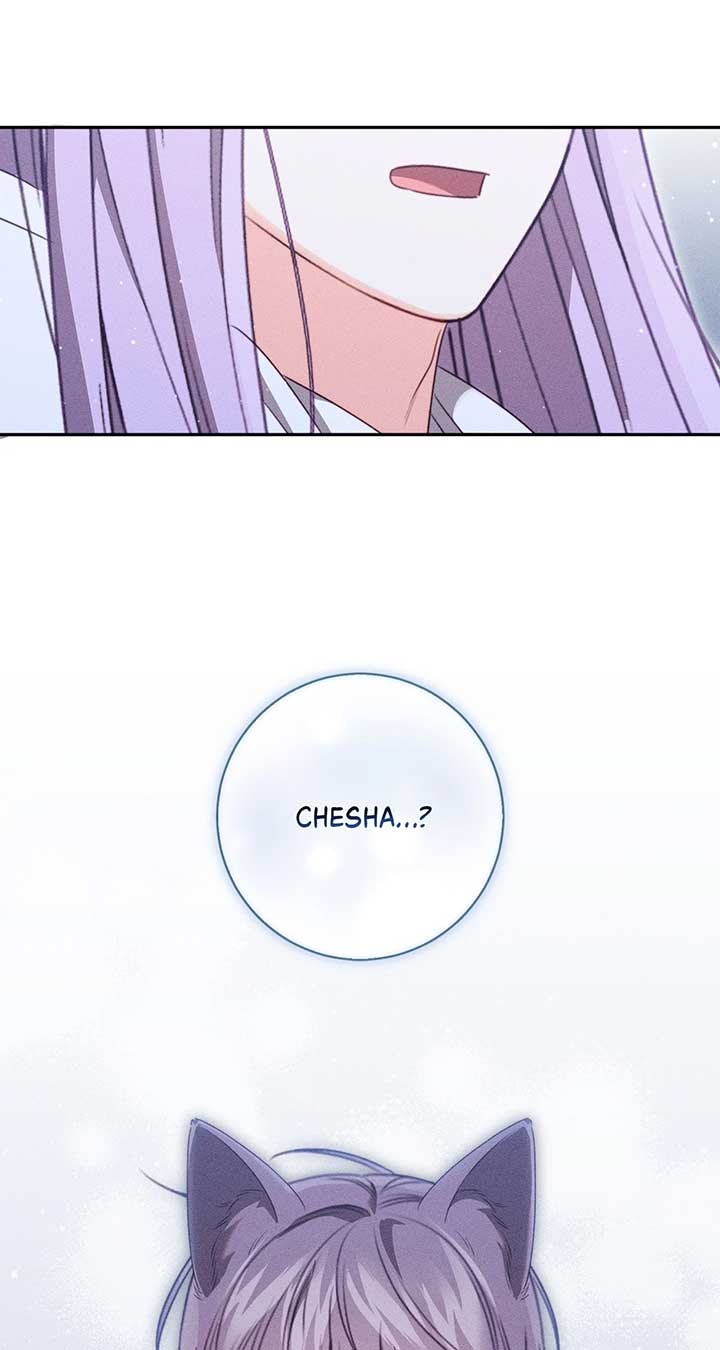 ch 72 20