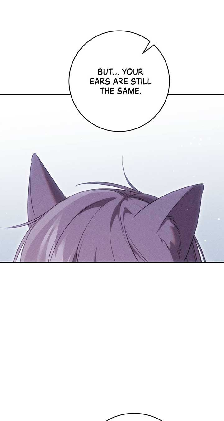 ch 72 28