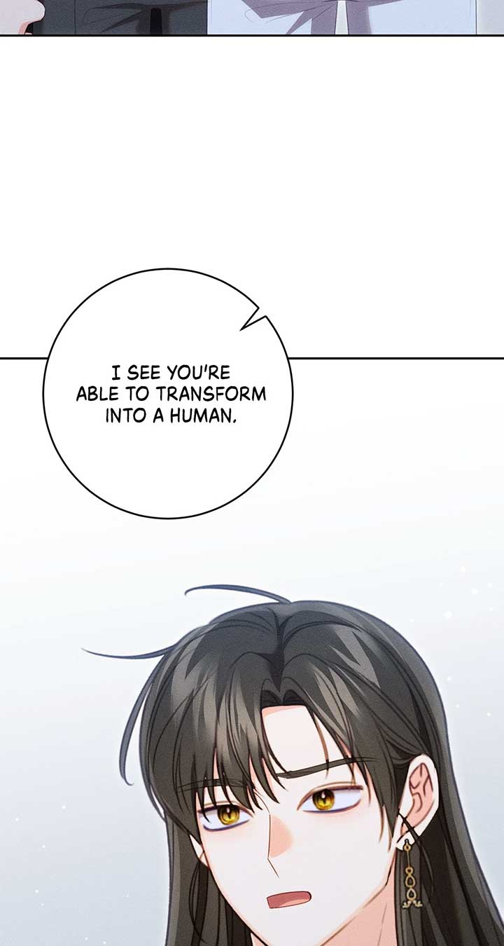 ch 72 33