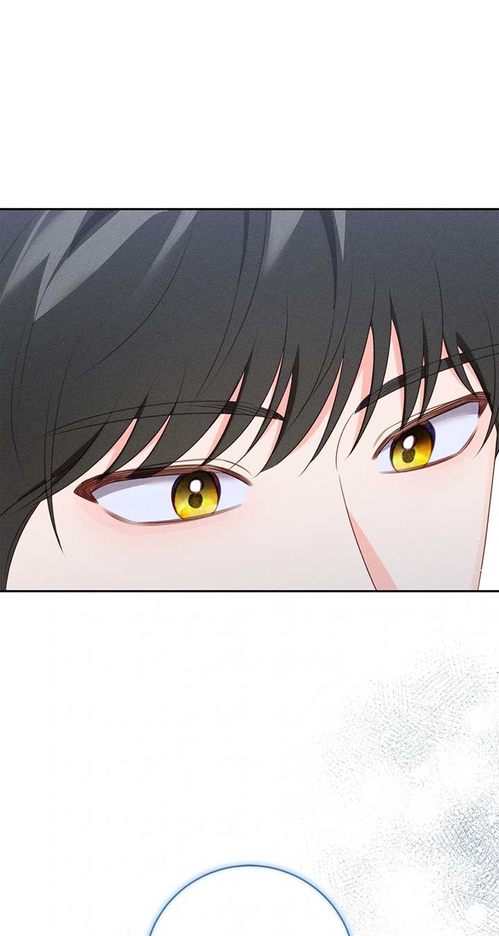 ch 72 75