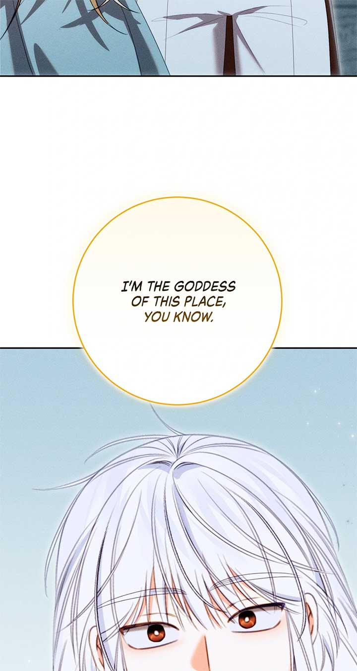 ch 78 20