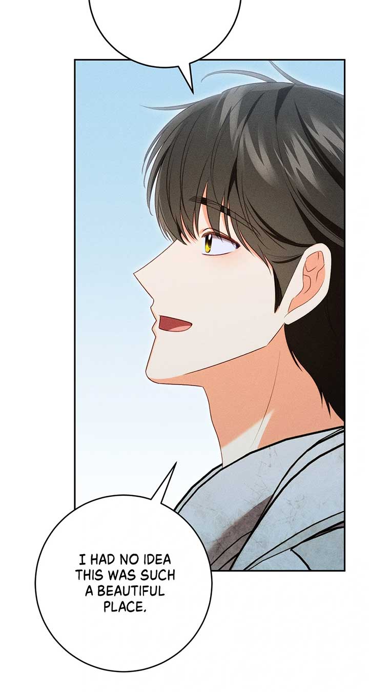 ch 78 82