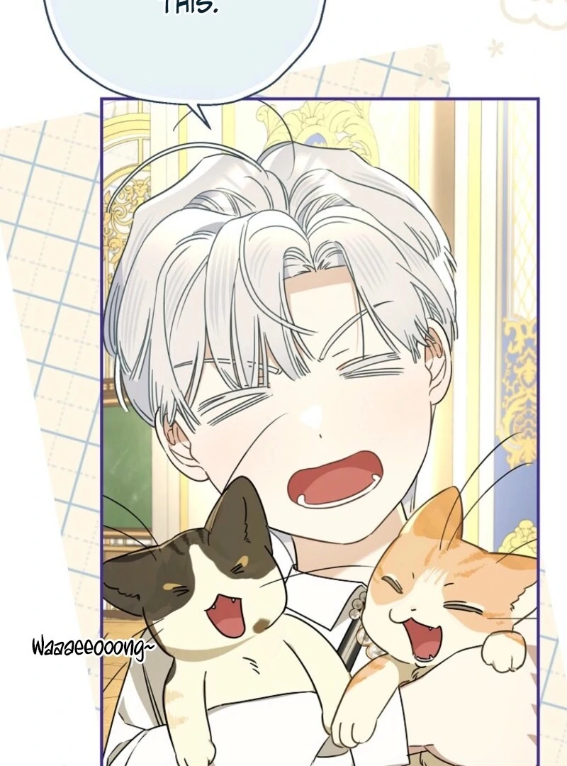 ch 114 18