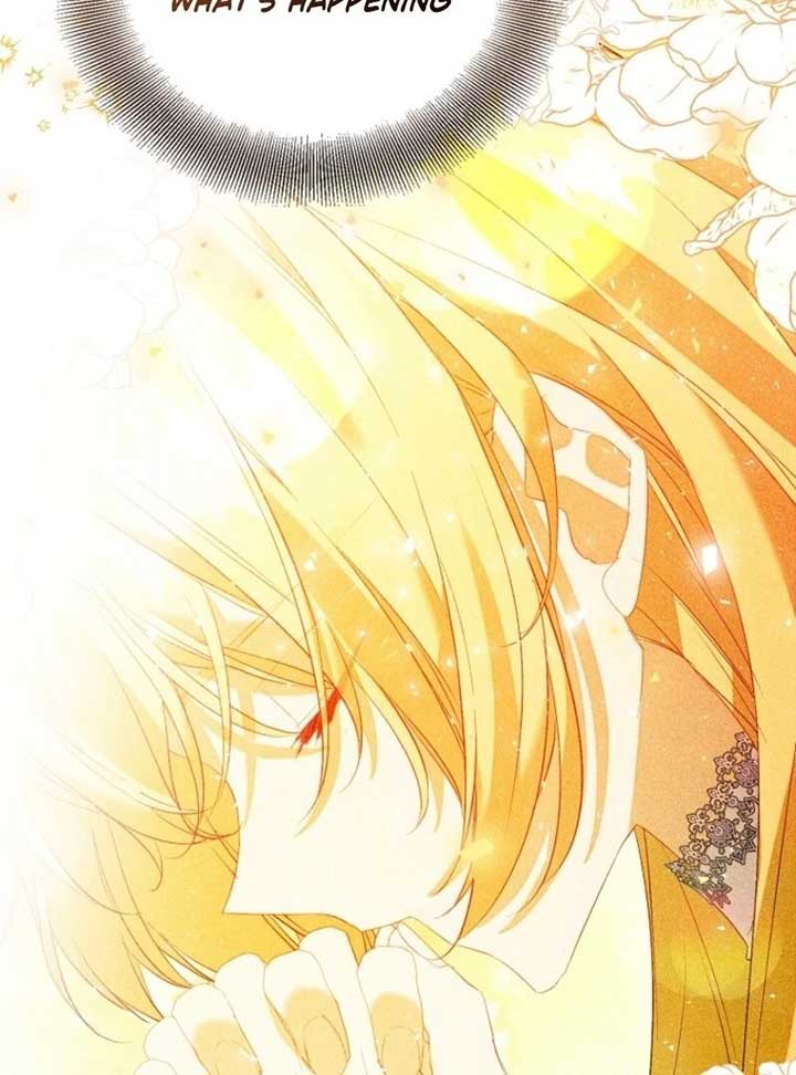 I’m a Fake Saintess but the Gods are Obsessed Chapter 110 681 155