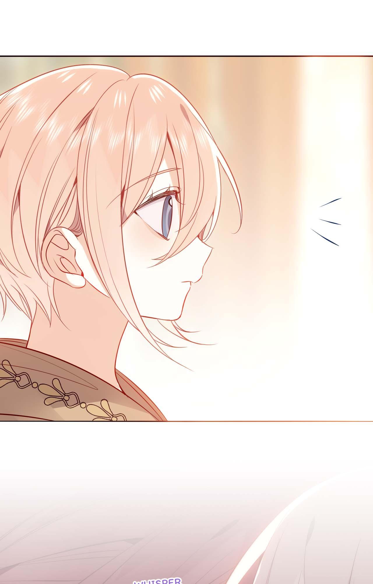 ch 81 52