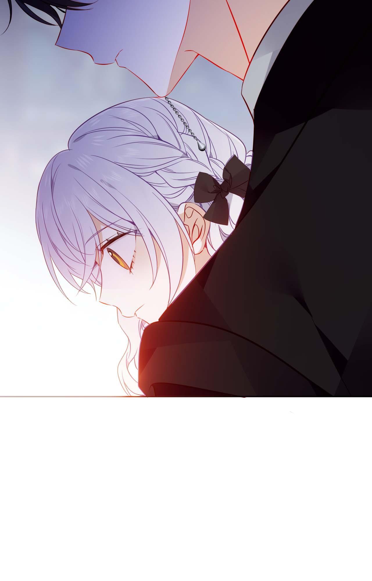 ch 85 23