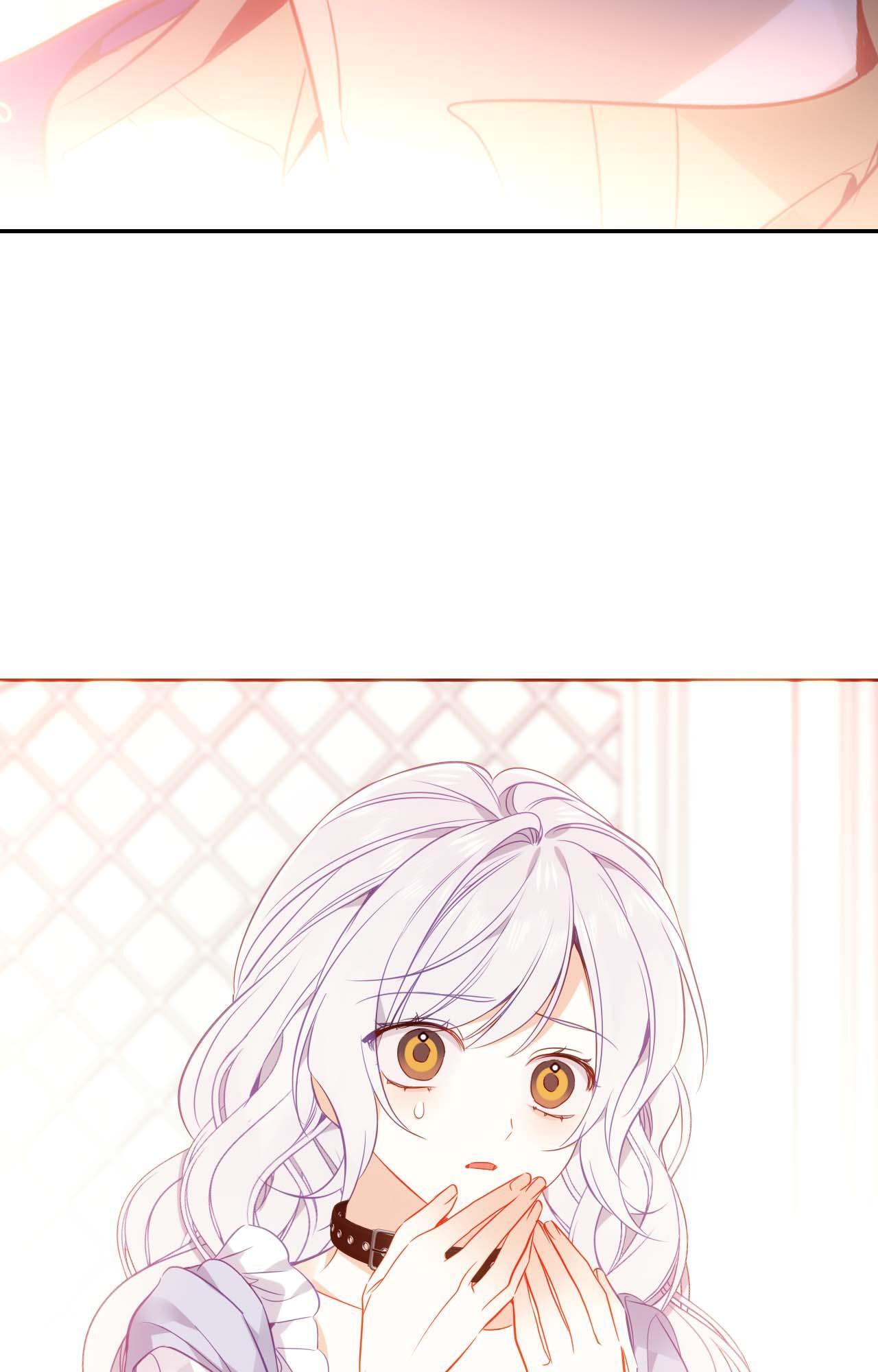 ch 91 33