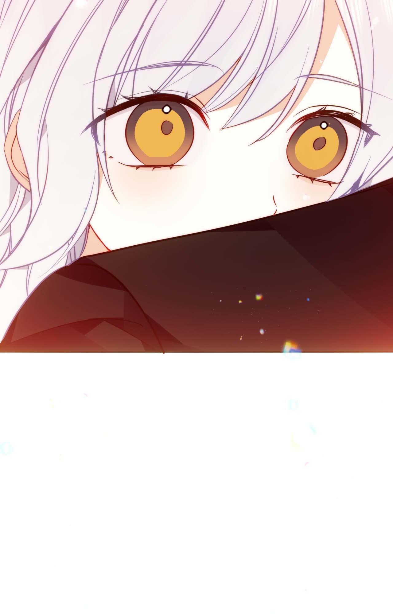 ch 91 65