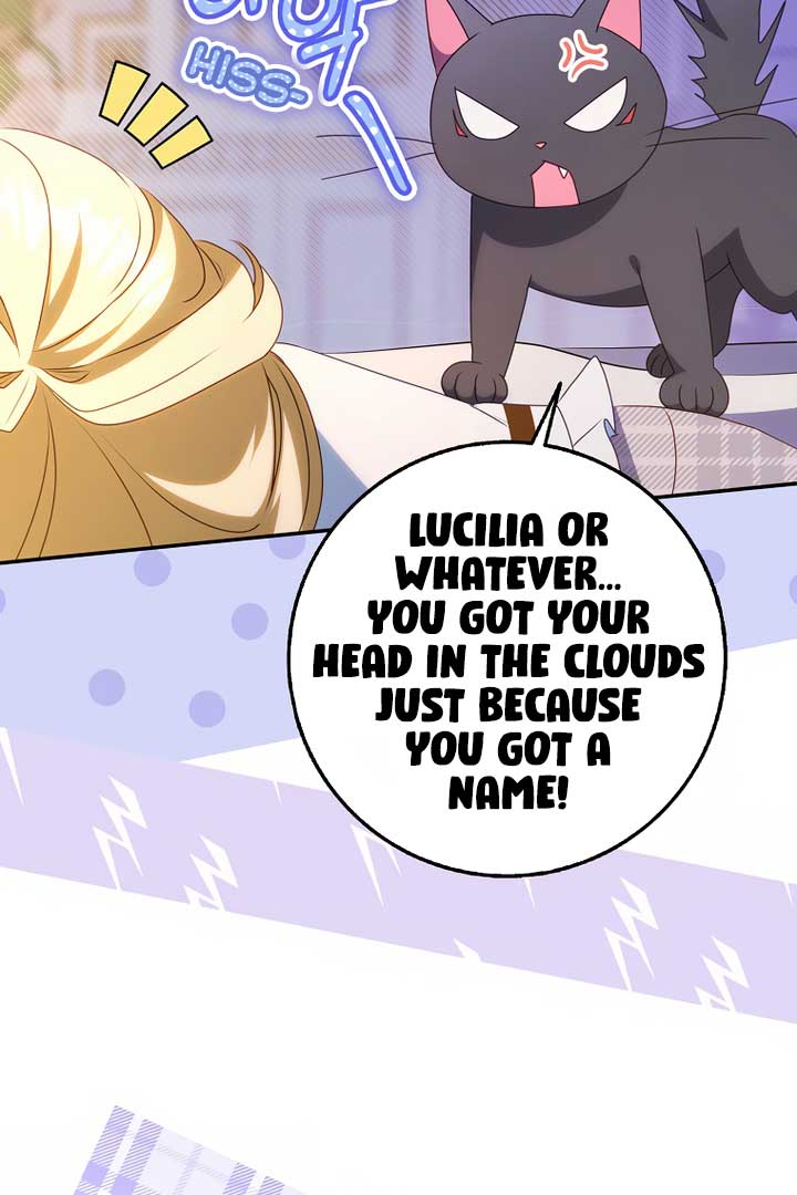 The secrets of the lovely duchess Chapter 7 382 075