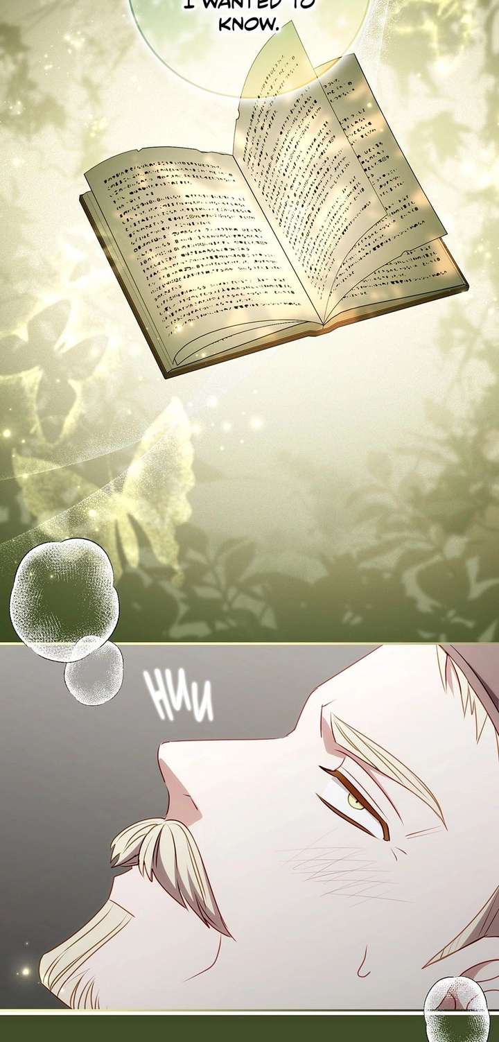 The secrets of the lovely duchess Chapter 76 244 ch 76 28