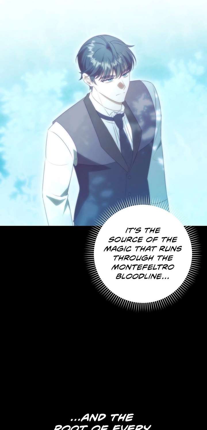 The secrets of the lovely duchess Chapter 79 248 ch 79 38