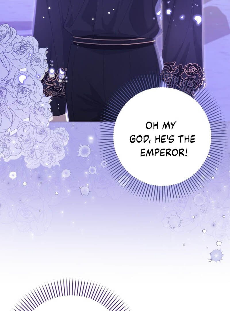 The Obsessive Emperor’s Capable Pharmacist Chapter 3 482 106
