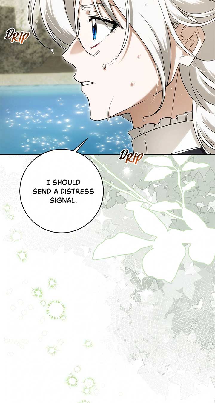The Obsessive Emperor’s Capable Pharmacist Chapter 32 295 09