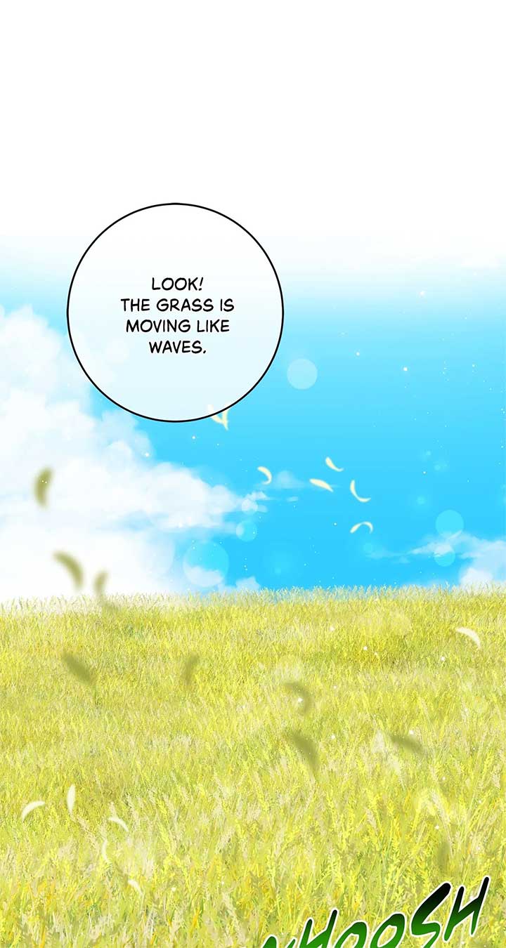 The Obsessive Emperor’s Capable Pharmacist Chapter 32 330 44