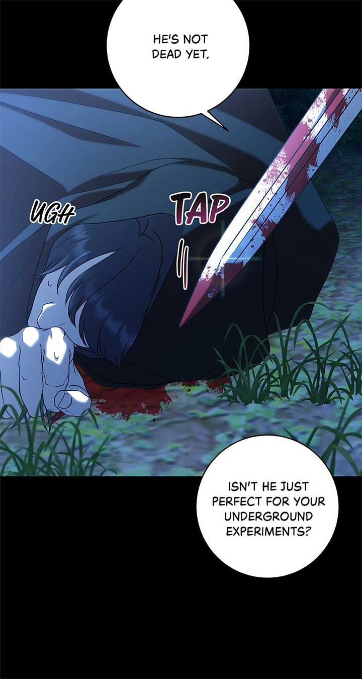 The Obsessive Emperor’s Capable Pharmacist Chapter 34 351 ch 34 71