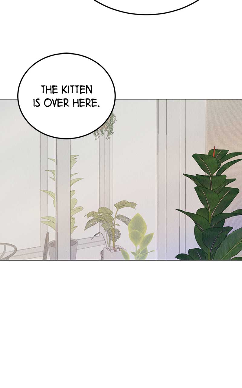 144