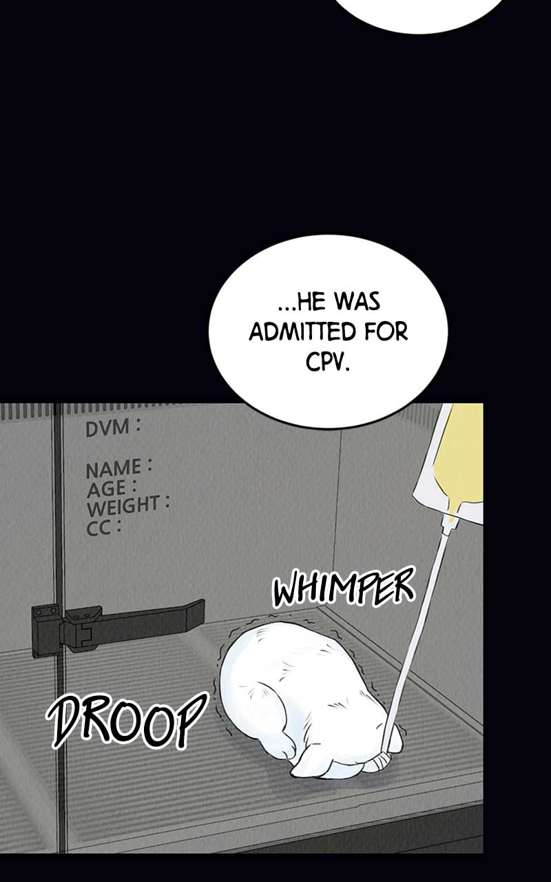 038