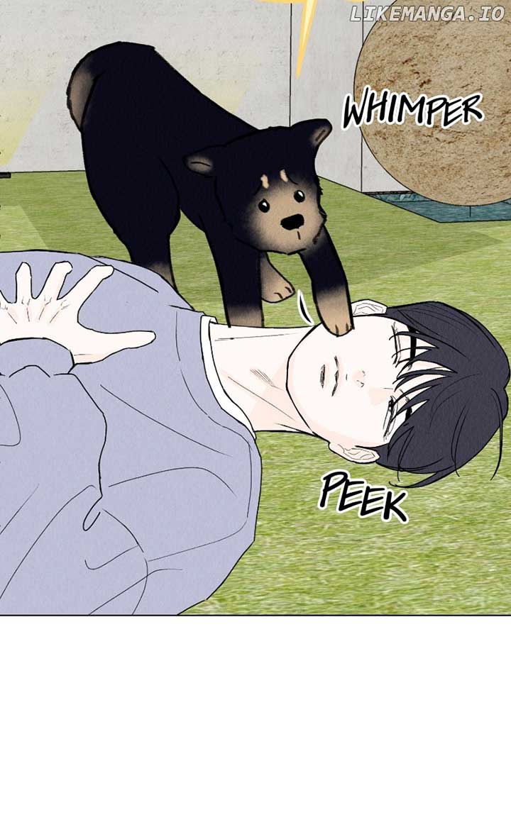 54