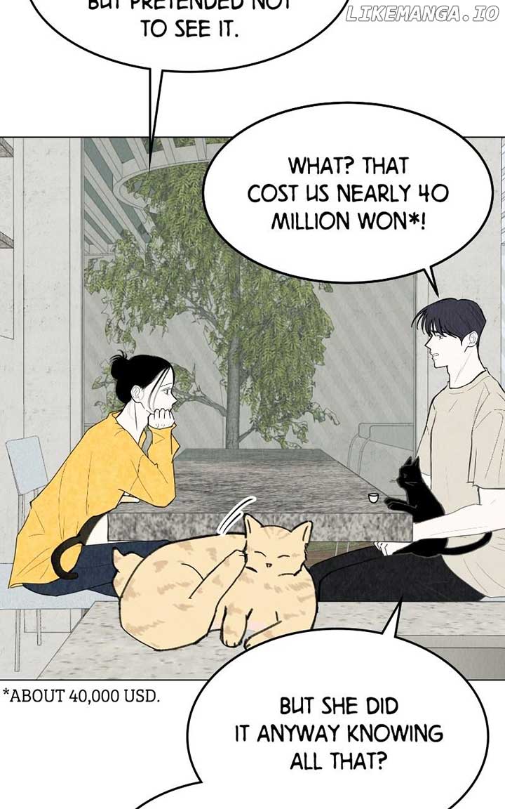 51