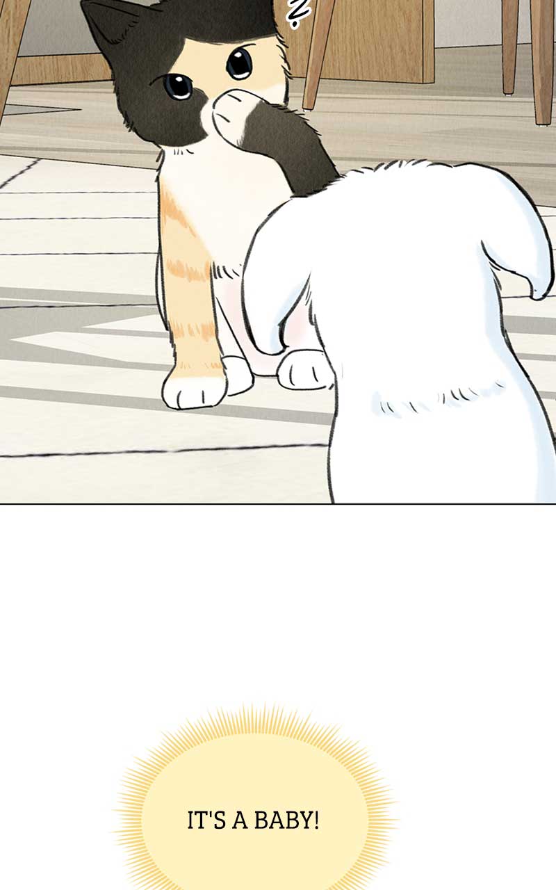 080