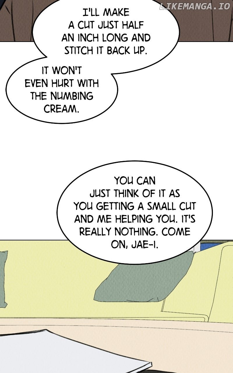 81