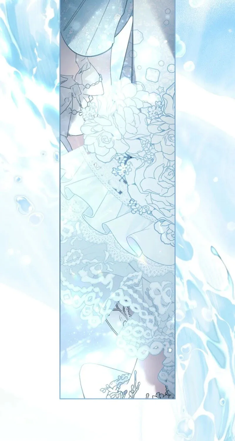 fcfeb3c753ed