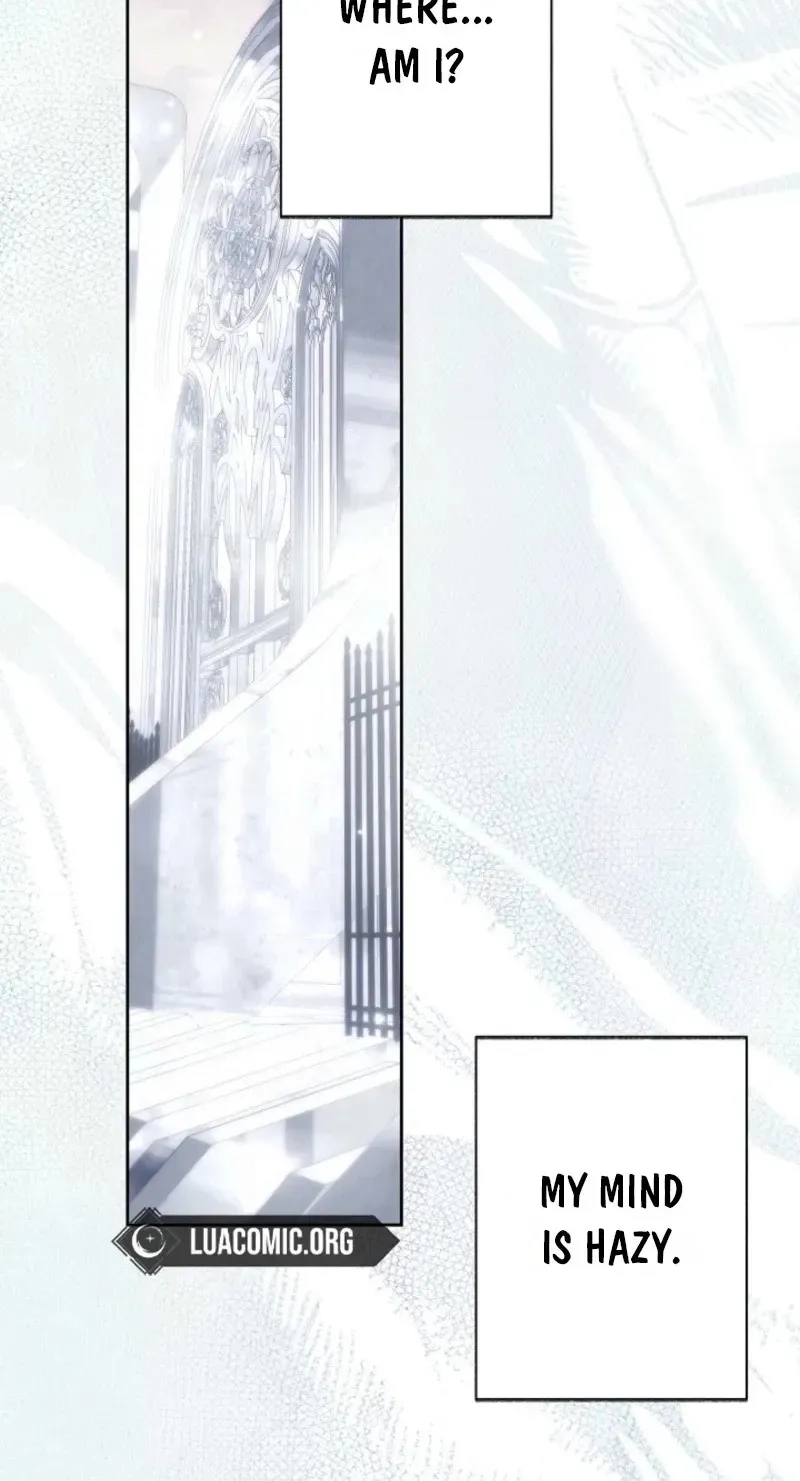 4c687f299425