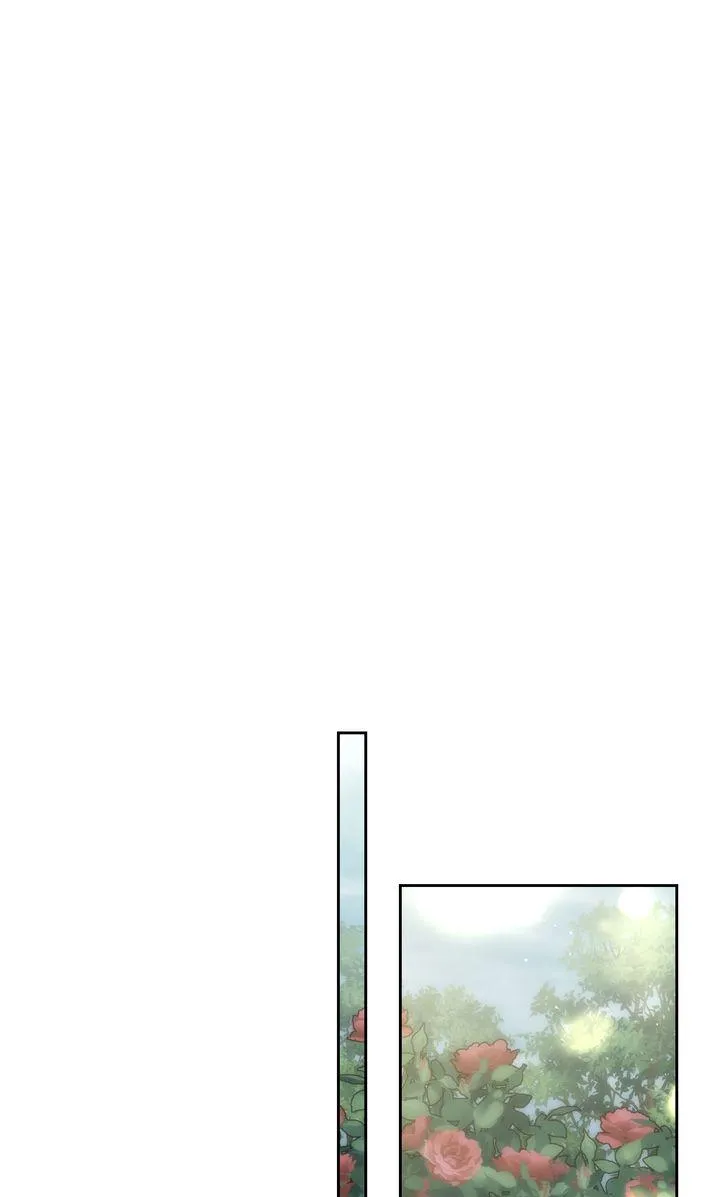 e5f8b3fd17ec
