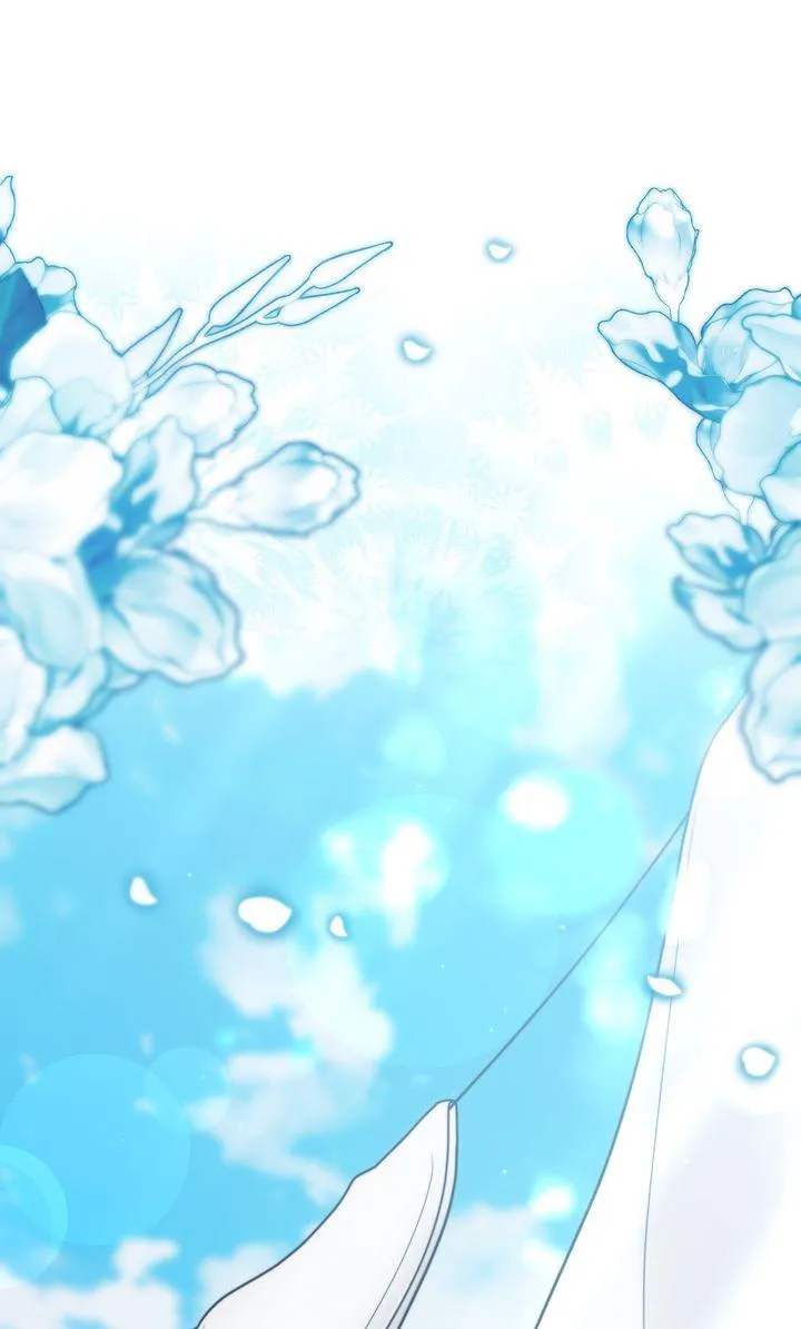 b8cdd12467a3