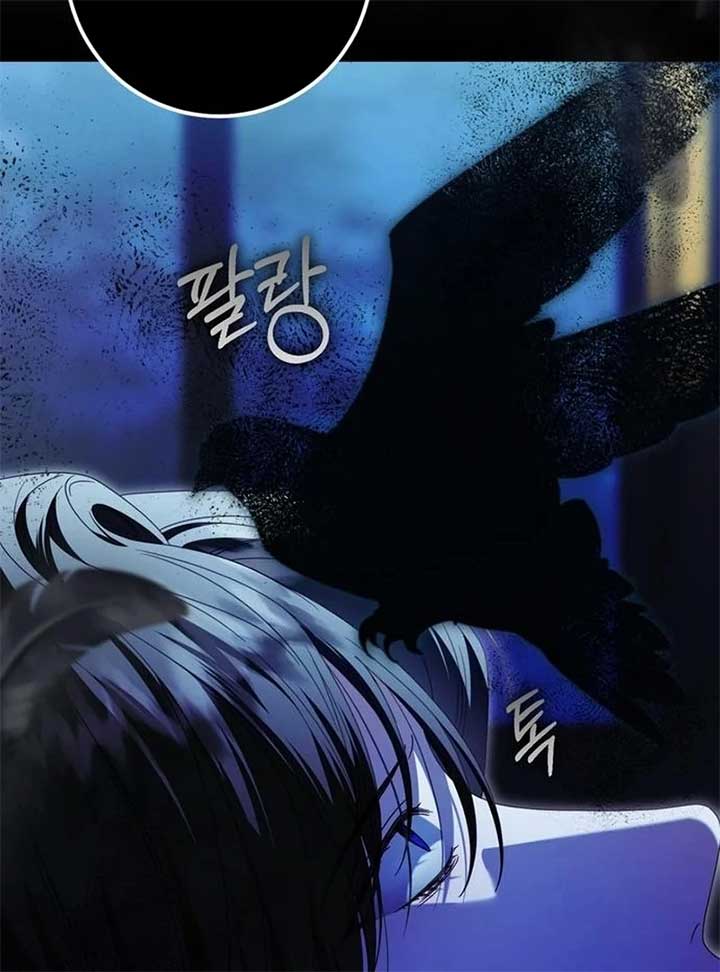 ch 55 59