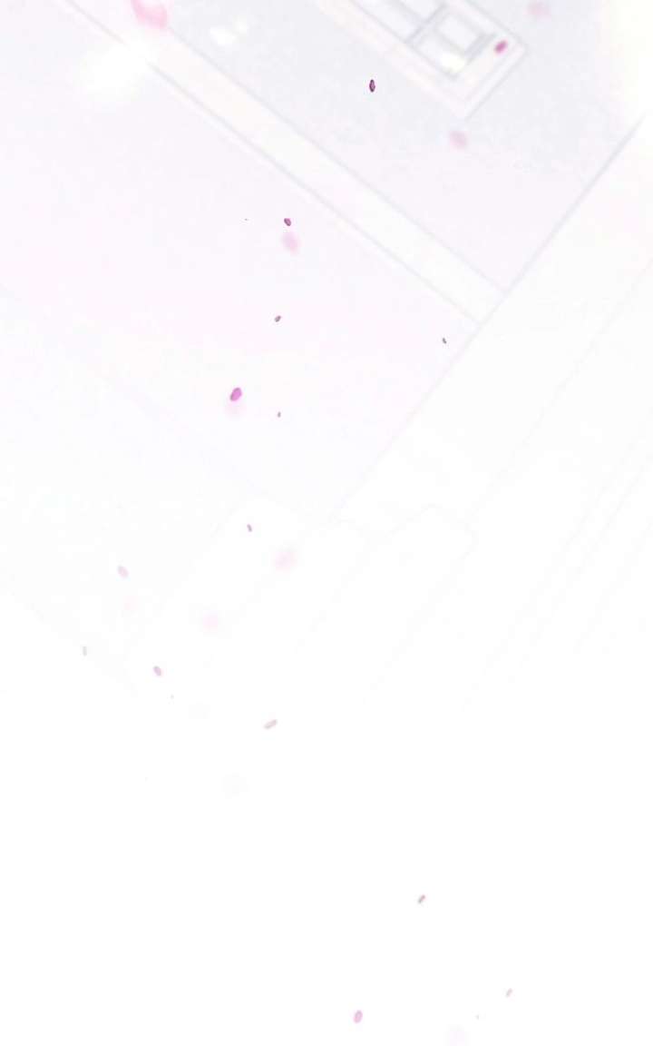 ch 100 72