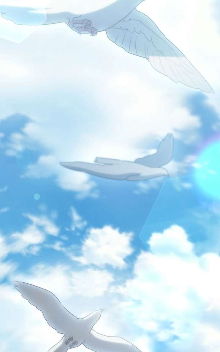 ch 100 74