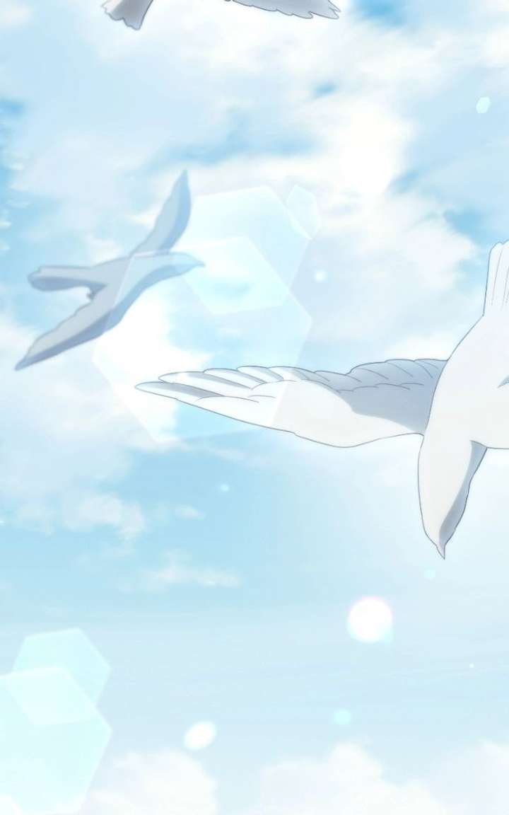 ch 100 75
