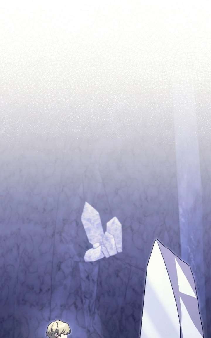ch 95 11