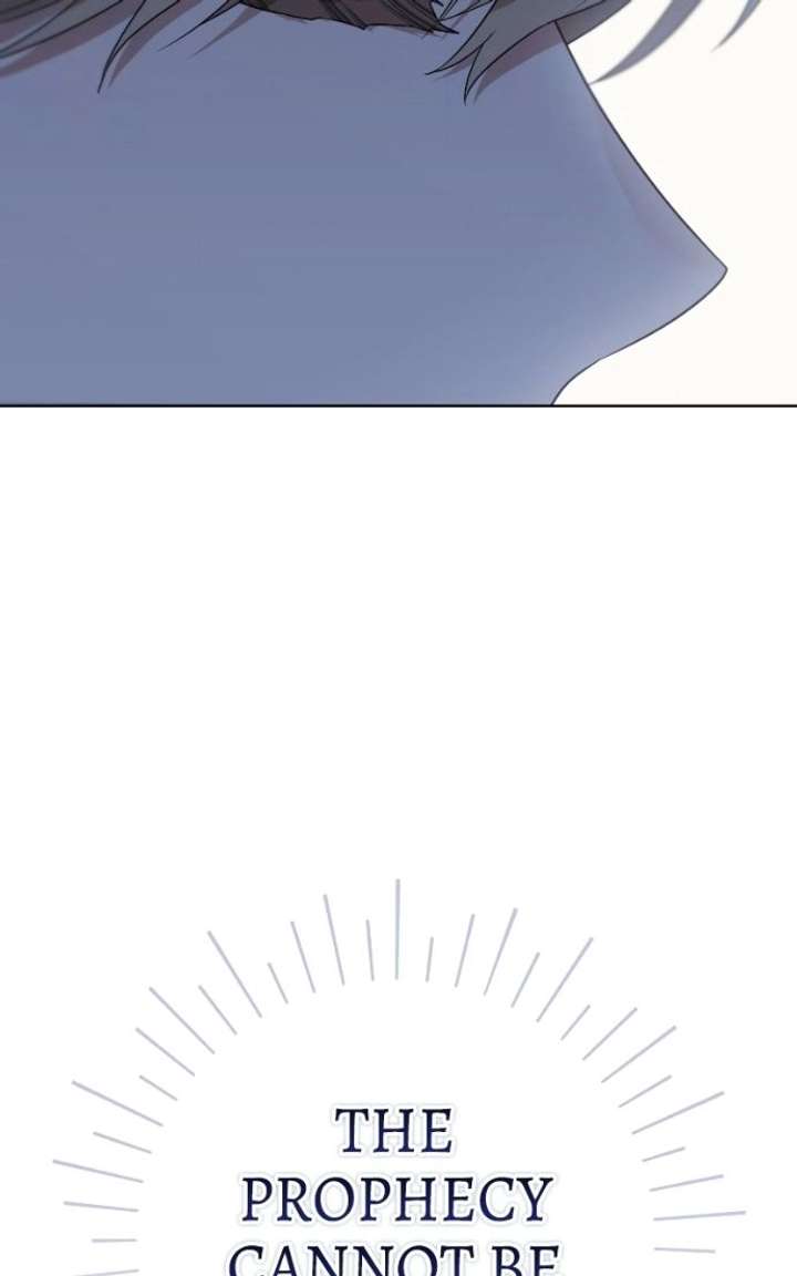 ch 95 20