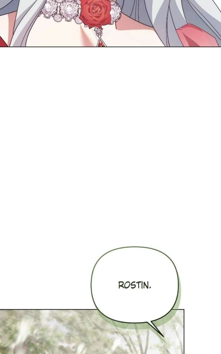 ch 95 66