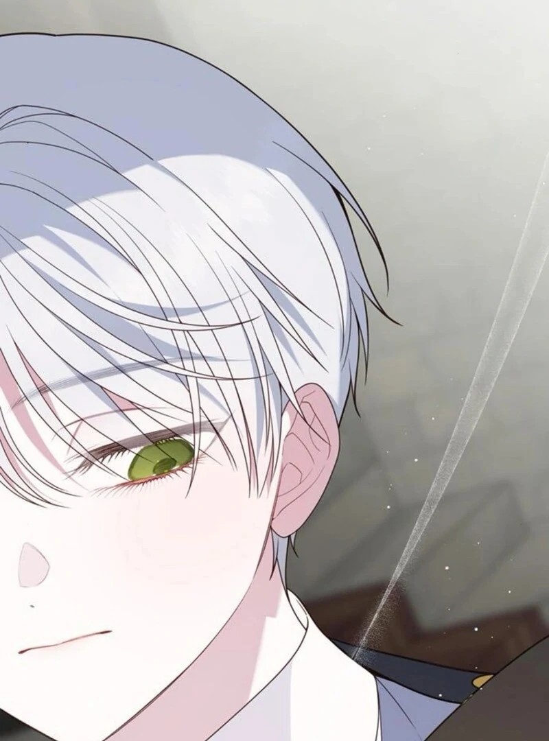 ch 117 32