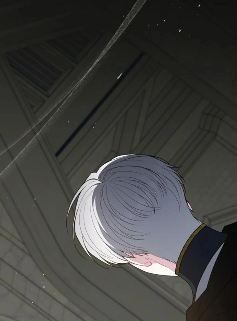 ch 117 5